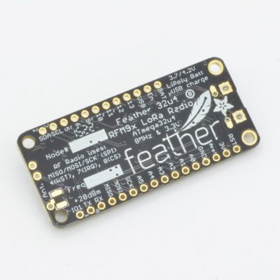 feather-lora-1